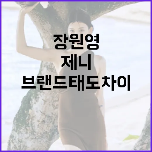 장원영과 제니의 브랜드 태도 차이: 팬들은 왜 다르게 느낄까? - 요약