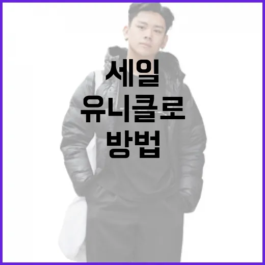 유니클로 세일을 최대한 활용하는 방법 - 요약