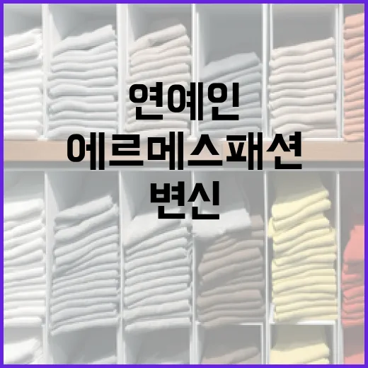연예인처럼 에르메스 패션으로 변신하는 방법 - 요약