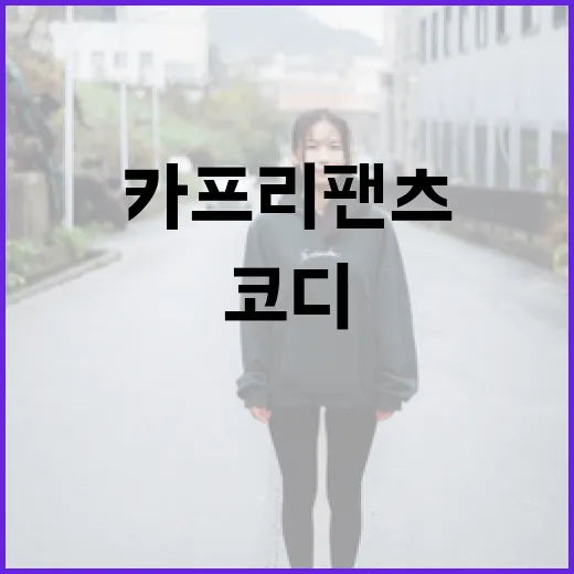 카프리팬츠로 스타일리시하게! 누구나 따라 할 수 있는 코디 팁 - 요약
