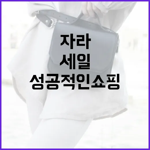 자라 세일에서 성공적인 쇼핑을 위한 꿀팁 - 요약