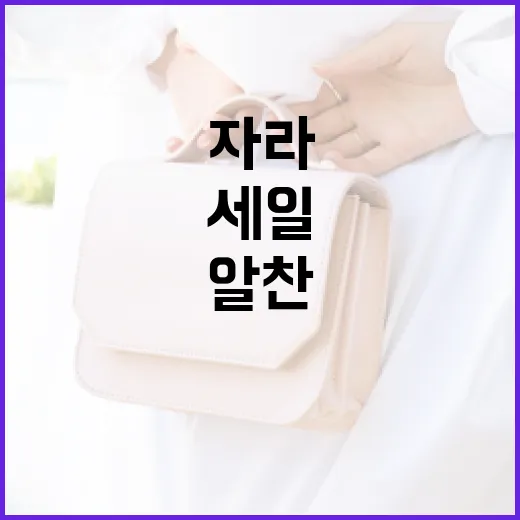 자라 세일에서 알찬 쇼핑하는 방법 - 요약