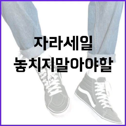 자라 세일에서 놓치지 말아야 할 5가지 쇼핑 팁 - 요약