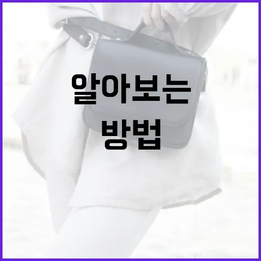 김민하 다이어트 비결: 이렇게 하면 성공한다! - 요약