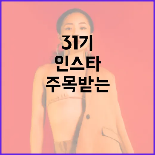 31기 순자 인스타에서 주목받는 방법 - 요약