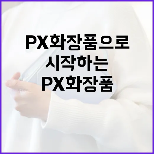 px 화장품으로 피부 고민 해결하기: 초보자도 쉽게 시작하는 방법 - 요약