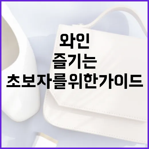 타낫 와인 즐기는 방법: 초보자를 위한 가이드 - 요약