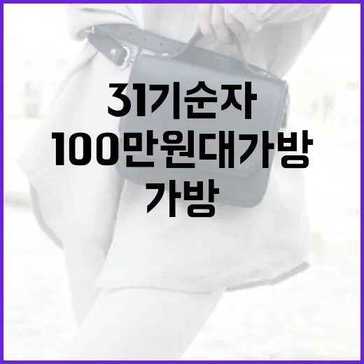 31기 순자와 100만원대 가방 선택법 - 요약
