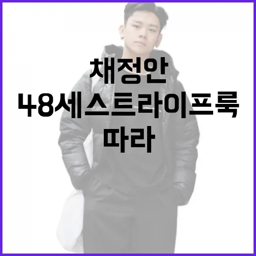 채정안의 48세 스트라이프룩 따라하기 - 요약