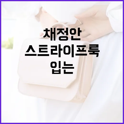 채정안처럼 스트라이프룩으로 세련되게 입는 방법 - 요약