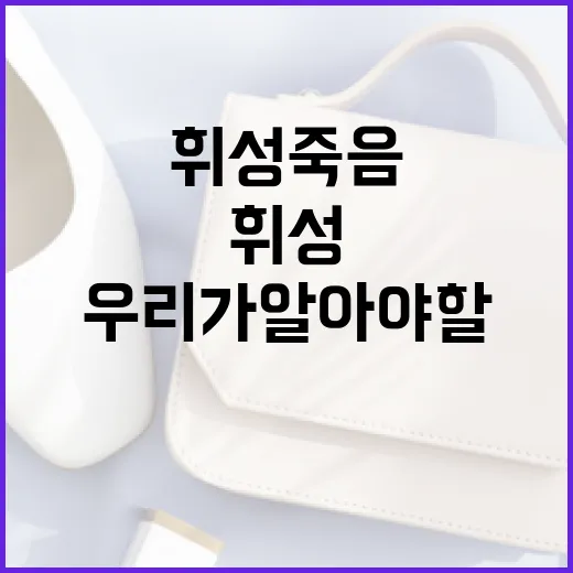 휘성 죽음과 그 배경에 대해 우리가 알아야 할 것들 - 요약