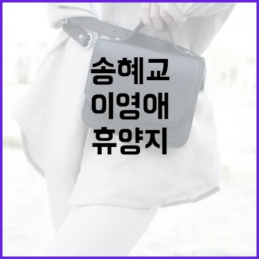 송혜교와 이영애처럼 스타일리시하게! 휴양지룩 공식 - 요약