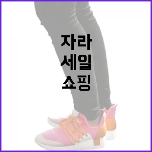 자라 세일에서 현명하게 쇼핑하는 방법 - 요약