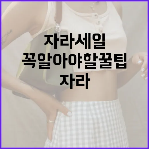 자라 세일에서 꼭 알아야 할 꿀팁 - 요약