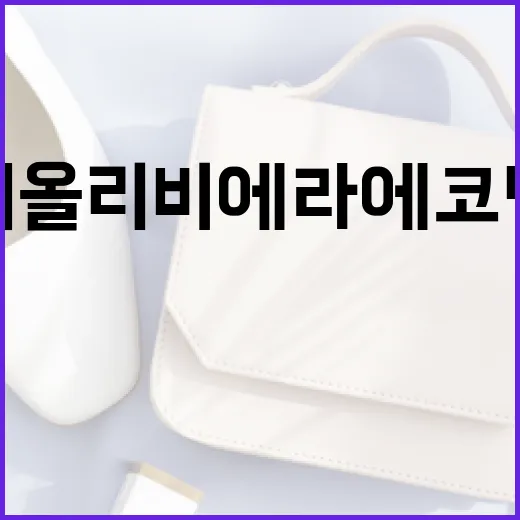 디올 리비에라 에코백, 스타일과 실용성을 동시에 잡는 법 - 요약