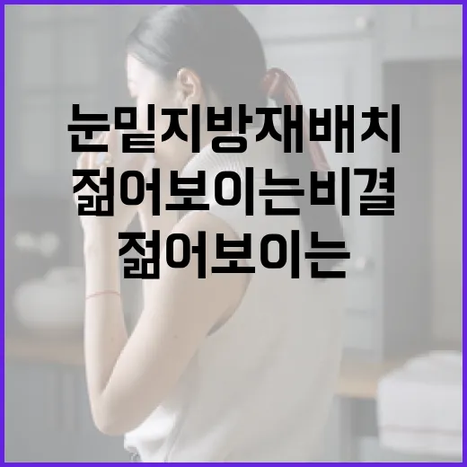 눈밑지방재배치, 젊어 보이는 비결 - 요약