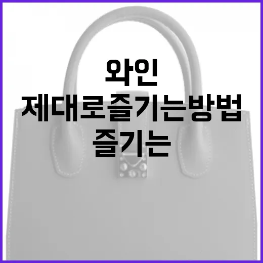 타낫 와인 제대로 즐기는 방법 - 요약