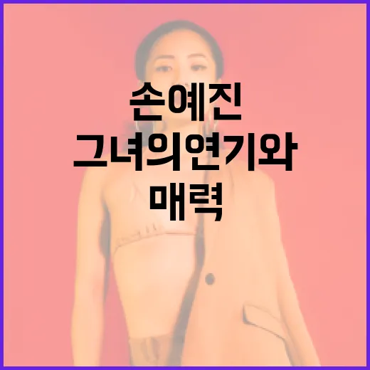 손예진의 매력에 빠지다: 그녀의 연기와 스타일 - 요약