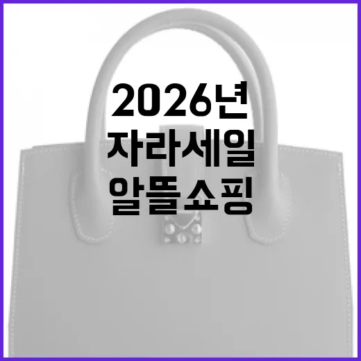 자라 세일 2026년 6월, 알뜰 쇼핑의 비결 - 요약