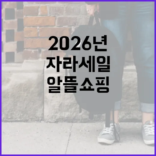 자라 세일 2026년 6월, 알뜰 쇼핑의 비법 - 요약