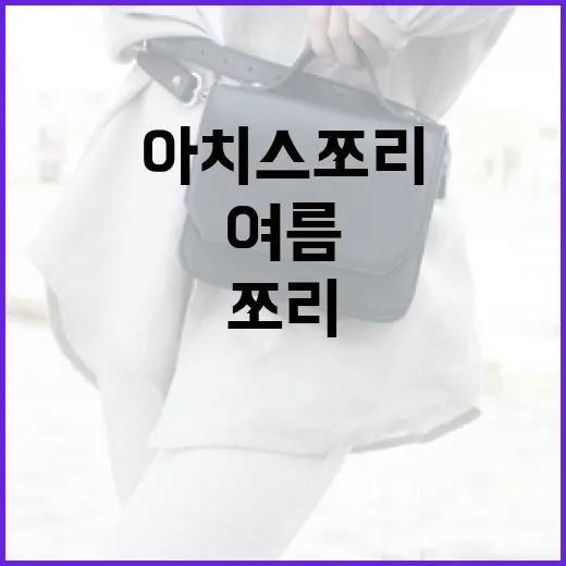 아치스 쪼리로 여름을 편안하게 보내는 방법 - 요약