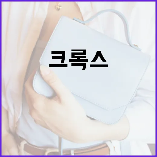 크록스 발레로 발끝에 날개를 달아보세요 - 요약