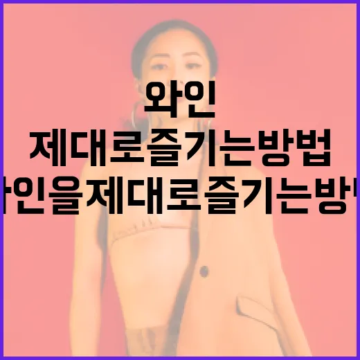 타낫 와인을 제대로 즐기는 방법 - 요약