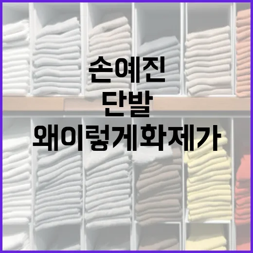 손예진의 단발 스타일, 왜 이렇게 화제가 될까? - 요약