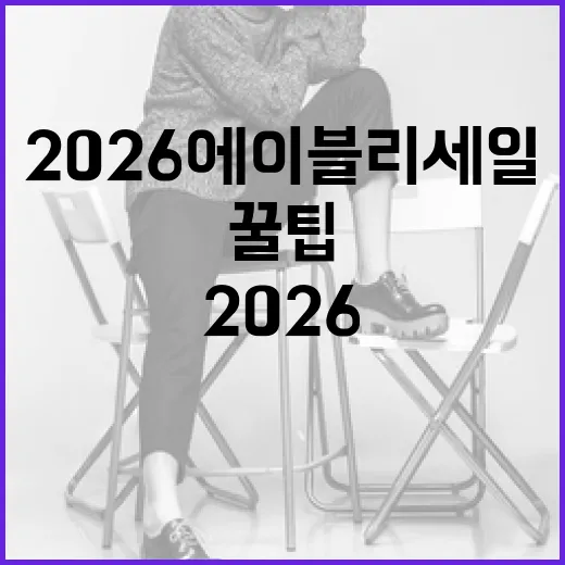 2026 에이블리 세일: 쇼핑 고수되기 위한 꿀팁 - 요약