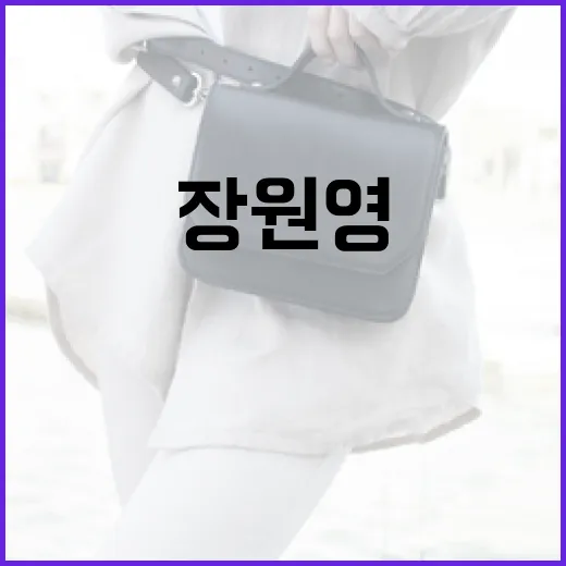 장원영의 화려한 집과 억대 소파, 우리가 놀란 이유 - 요약
