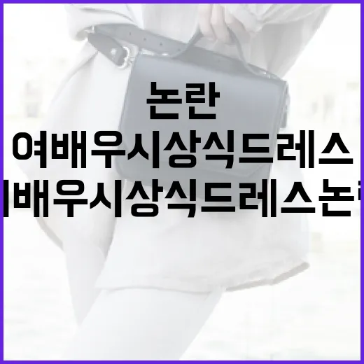 여배우 시상식 드레스 논란: 그 이면의 이야기 - 요약