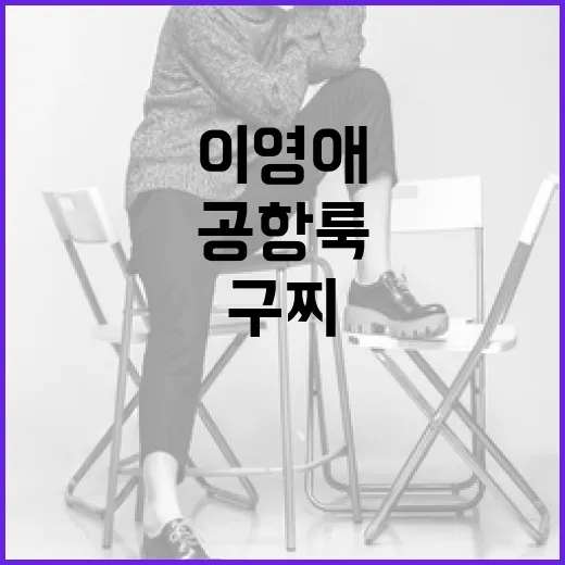 이영애의 공항룩, 구찌와 루이비통의 스타일 차이 알아보기 - 요약