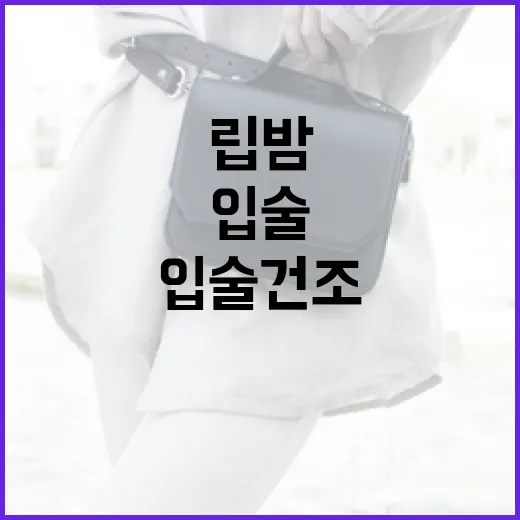최지우립밤, 입술 건조함을 해결하는 방법 - 요약