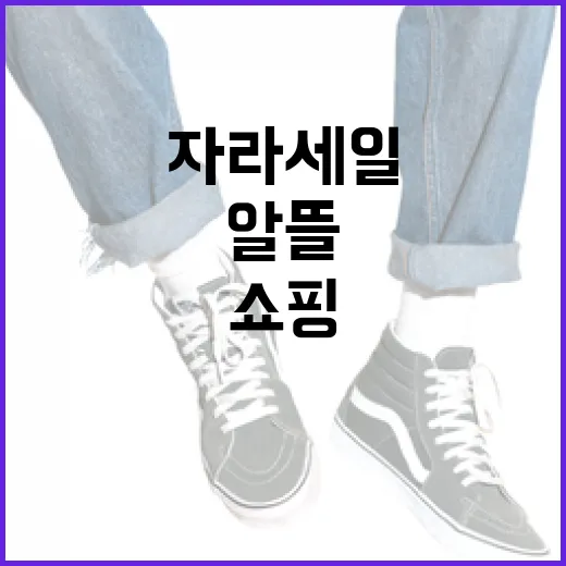 자라세일에서 알뜰하게 쇼핑하는 방법 - 요약