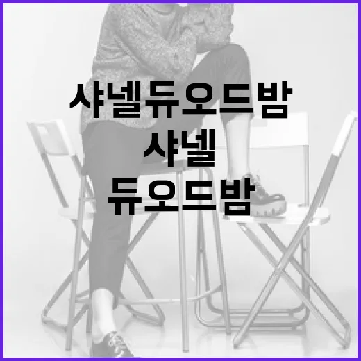 샤넬 듀오 드 밤, 이렇게 사용하면 더욱 빛나요 - 요약