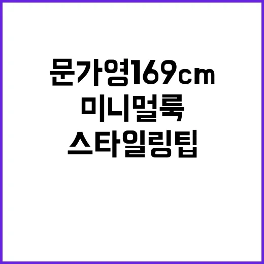 문가영 169cm의 미니멀룩 비법: 스타일링 팁 - 요약