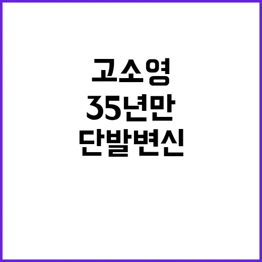 고소영의 35년 만의 단발 변신, 그녀의 스타일링 비법은? - 요약