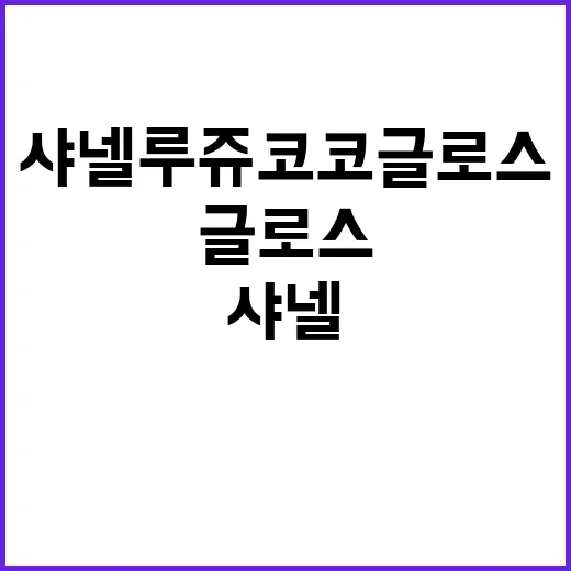 샤넬 루쥬 코코 글로스를 완벽하게 활용하는 방법 - 요약