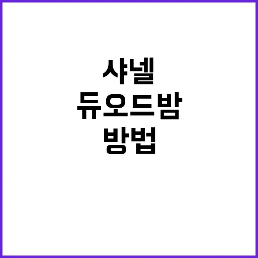 샤넬 듀오드밤 제대로 활용하는 방법 - 요약