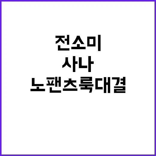 전소미와 사나, 노팬츠룩 대결에서 누가 더 매력적일까? - 요약