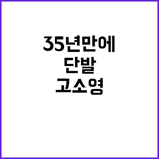 고소영, 35년 만에 첫 단발 도전! 그녀의 선택이 특별한 이유 - 요약