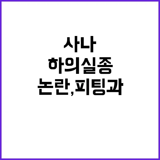 사나의 하의실종 패션 논란, 피팅과 다른 이유는? - 요약