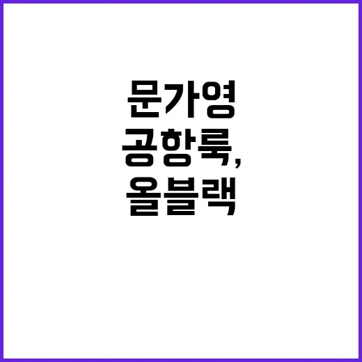 문가영의 올블랙 공항룩, 이렇게 따라해보세요! - 요약
