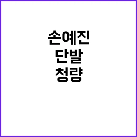 손예진처럼 단발로 청량한 휴가룩 완성하기 - 요약