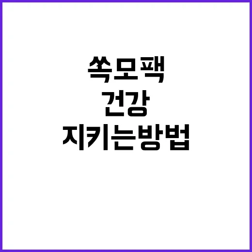 쏙모팩으로 두피 건강 지키는 방법 - 요약