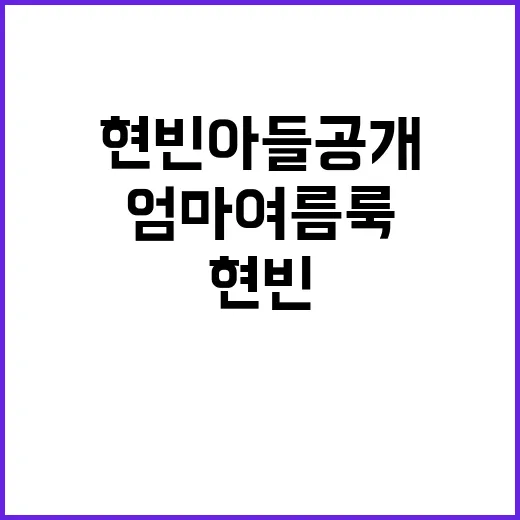 현빈 아들 공개와 엄마 여름룩의 비밀 - 요약