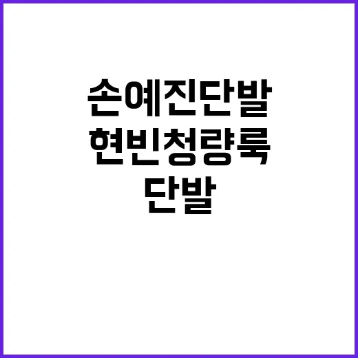 손예진 단발과 현빈 청량룩을 완벽하게 소화하는 방법 - 요약