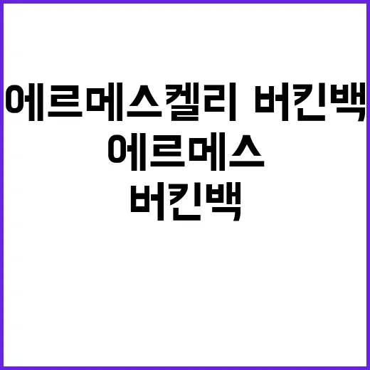 미미가 든 에르메스 켈리·버킨백 보고 네일 컬러를 바꿔봤더니 - 요약