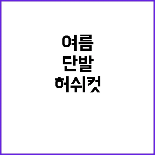 여름에 단발이랑 허쉬컷 고민하다가 손님들 반응까지 같이 봤더니 - 요약