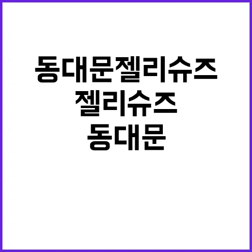 동대문 젤리슈즈 신고 하루 걸어봤더니, 페디가 예뻐 보이는 조합은 따로 있었어요 - 요약